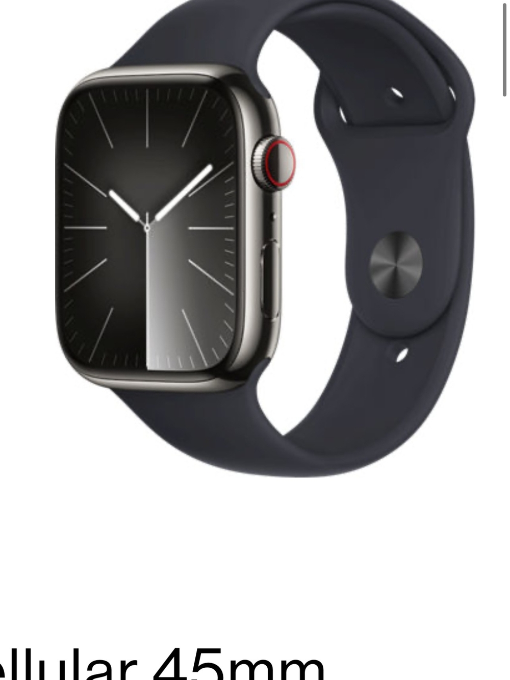 Graphite Apple Watch Series 9 - Grey Sport Band
